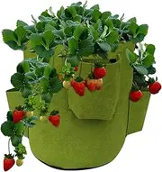 Strawberry Planter Strawberry Planting Pots Outdoor - 5 Gallon Garden Planting Bag with 4 Side Grow Pockets, Non-Woven Fabric Breathable Growing Supports Container for Vegetables, Fruits, Flowers