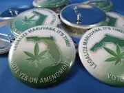 WHOLESALE LOT OF 22 LEGALIZE MARIJUANA VOTE YES ON AMMENDMENT 3 FLORIDA BUTTONS