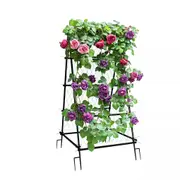 Metal Garden Trellis Arch with Ground Spikes Climbing Plant Support Frame for Vines, Roses & Flowers