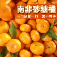 在飛比找momo購物網優惠-【台灣鮮果】買一送一 南非無籽砂糖橘(5斤/箱-共2箱)