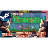 在飛比找蝦皮購物優惠-[茆咪遊戲室]STEAM 泰拉瑞亞:Terraria 全新白