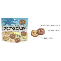 在飛比找蝦皮購物優惠-現貨日本Kabaya熊貓海鹽牛奶巧克力餅乾