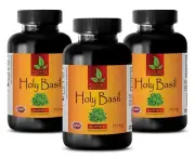 HOLY BASIL Plant - Stress Relief - Anti-Aging - Antioxidant - 3 Bottles