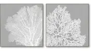 Set of 2 Hamptons Grey Coral Framed Canvas 82 cm Wall Art