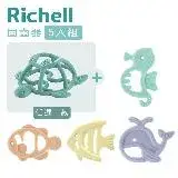 在飛比找遠傳friDay購物優惠-《Richell-利其爾》3D固齒器x1+矽膠固齒器x4