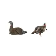 Avian-X LCD Laydown Hen Turkey Decoy | Durable Realistic Lifelike Collapsible...