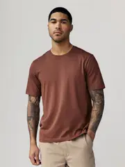 Terracotta Brown Regular Fit Essential Crew Neck Cotton T-Shirt (E91688) | $15