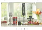 princess house healthy life 4-1 immersion blender