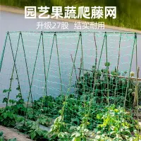 在飛比找樂天市場購物網優惠-園藝植物爬藤網攀爬種植搭架絲瓜百香果豆角藤蔓花卉網農用葡萄棚