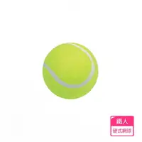 在飛比找momo購物網優惠-【鐵人】硬式網球1入