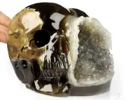 6.5" Dinosaur Egg Agate Geode Carved Crystal Skull, Crystal Healing