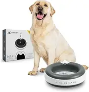 Torus 2-Liter Water Bowl, Charcoal