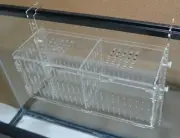 Acclimation Breeder Box (Fish, Anemone, and Quarantine)