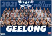 Geelong cats TEAM Photo,AFL football,swans,PIEs ,blues ,crows,books,dockers3