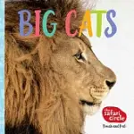 BIG CATS: TOUCH AND FEEL