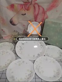 在飛比找Yahoo!奇摩拍賣優惠-corelle/康寧餐具 橢圓魚盤餐盤強化瓷 全新 套裝盤5