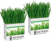 Soilless Cat Grass Grow Kit for Indoor Cats, Includes Cat Grass Seeds and Grow B