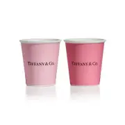 Tiffany Coffee Cup Bone China Set of 2 Pink Stylish Tableware Espresso Tea Japan