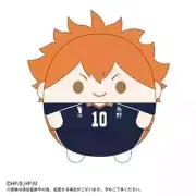 NEW Haikyuu!! Shouyou Hinata Fuwakororin Big A Plush Toys 30CM Official Japan