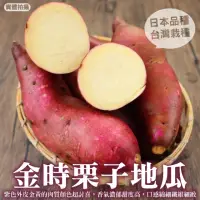 在飛比找momo購物網優惠-【WANG 蔬果】日本品種金時栗子地瓜10斤x1箱(農民直配