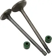 Motorcycle 2PC Intake and Exhaust Valves for H-da CG110 CG125 CB125J CB125S XL125 14711-383-000 14721383000 4-Stroke Engine