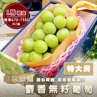 在飛比找PChome24h購物優惠-【WANG 蔬果】日本空運麝香無籽葡萄_特大房(2盒_淨重6