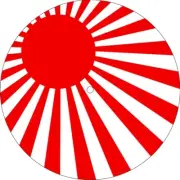 Slipmat Slip Mat 4 Technics or Single 7" 45 Turntable Record Player RISING SUN