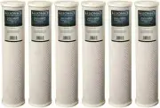 Bluonics CTO Carbon Block Water Filters (6) 4.5" x 20" Whole House Cartridges