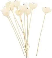 10Pcs Diffuser Sticks for Essential Oils Replaceable Aroma Sticks Elegant Flower Design for Home Decor for Living Room Bedroom Bathroom Freshener