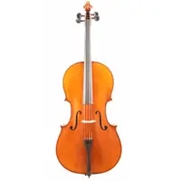 在飛比找蝦皮商城優惠-【路得提琴】澳洲KG大提琴300號 進階款提琴