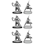 3x 2pc Dungeons & Dragons Nolzur's Marvelous UNP Miniatures Human Monk Male