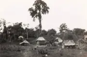 Rural Peasant Village Trinidad And Tobago 1931 OLD PHOTO