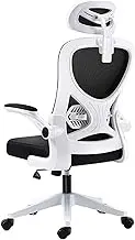 Hbluefat Ergonomic Office Chair, High Back Desk Chair Computer Task Mesh Chair with Adjustable Headrest, Arms and Lumbar Support, for Modern Office and Home (White)