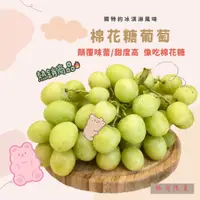 在飛比找蝦皮購物優惠-【JDFruit緁迪水果】棉花糖葡萄 綠無籽葡萄 秋脆 秋翠