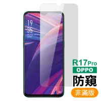 在飛比找momo購物網優惠-OPPO R17 Pro 非滿版手機螢幕防窺9H保護貼(R1