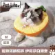 PetLife 寵物防舔防抓羞羞圈/趣味水果造型 伊莉莎白頭套 旺來M