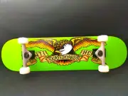 Anti Hero Skateboard Complete Eagle Green 8.0 Antihero Wheels Abec 5 Bearings