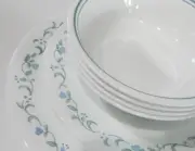 ❤️ NEW 12-pc Corelle COUNTRY COTTAGE Dinnerware Set w/Dinner Lunch Plates Bowls
