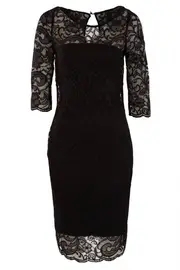 Lovely Lace Dress--VER-SPARRWCDL