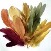 Feathers Goose Down Colours Autumn/Fall 15g