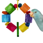 Super Bird Creations Sola Balsa Ring Small Sized Bird Toy, Parrot Toy Shreddable