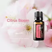dōTERRA Citrus Bloom Essential Oils 15ml Springtime Blend Free Post Diffuser