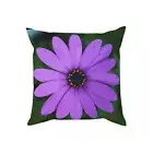 Floral Cushion with 100% Cotton Drill Cover and Polyester Filling