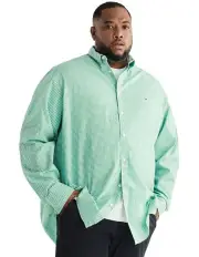 [Tommy Hilfiger] Big & Tall Flex Gingham Check Regular Shirt in Green