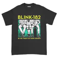 在飛比找蝦皮購物優惠-Blink 182 BAND T 恤 PARKING LOT