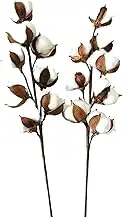 Dried Cotton, Flower Branches, Immortal Flowers, Handmade Dried Cotton, DIY Flower Bouquet Decoration Prop