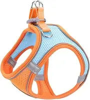 GANAZONO Cat Leash Vest Pet Leash Dog Walking Leash Breathable and Sturdy Pet Supply Accessories