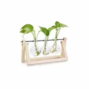 Wooden Stand Hanging Glass Terrarium Container Hydroponics Pot Vase Decor