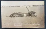 Mint USA RPPC Postcard Cowboy Shorty Kelso Bulldogging Cheyenne WY Rodeo
