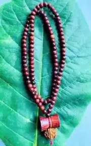 Red sandalwood mala and damru with Rudraksh bead mala (beads size 6mm) Wearing--